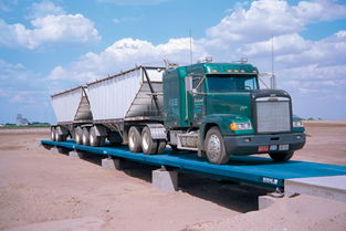 优质的电子汽车衡 优质的电子汽车衡