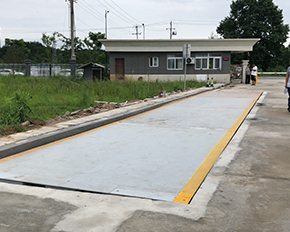 芭乐视频APP下载汅网站进入